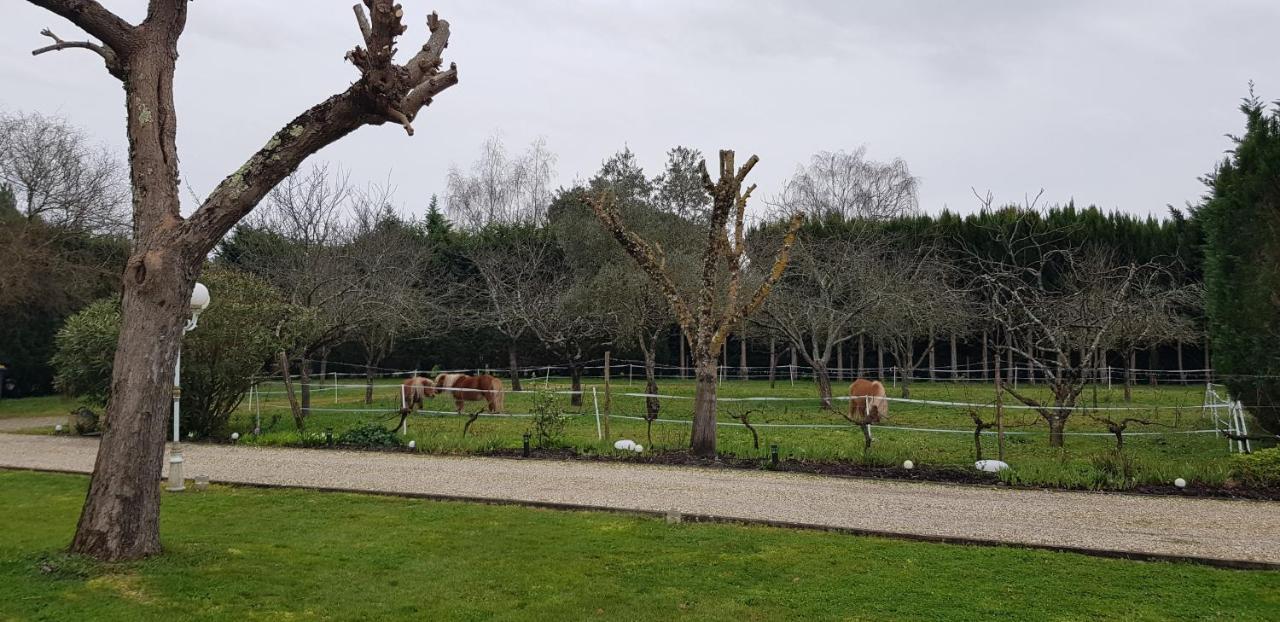 Le Cabassou Du Medoc Bégadan Exterior foto